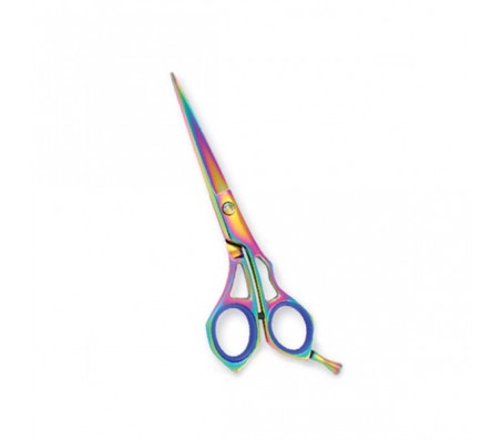 Professional Hair Cutting Scissors